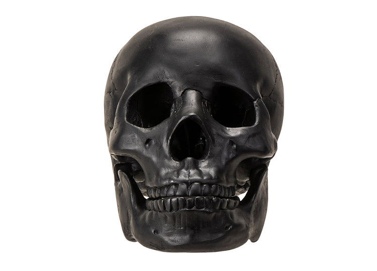 Black Skull with Moveable Jaw 1 - JP's Horror Collection