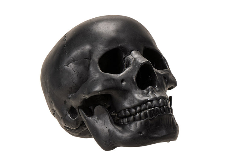 Black Skull with Moveable Jaw 3 - JP's Horror Collection