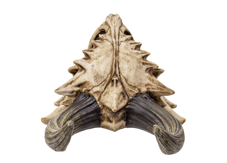 Dragon Wall Mount Skull 2 - JPs Horror Collection