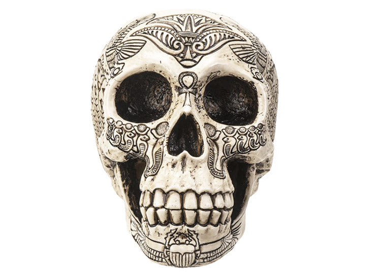Egyptian Skull  - Large 1 - JPs Horror Collection