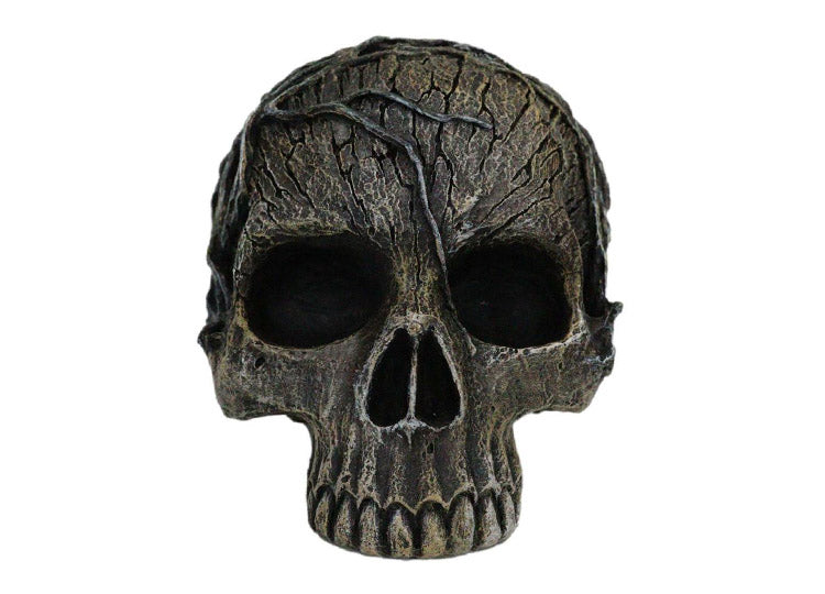 Tree Spirit Skull 1 - JPs Horror Collection