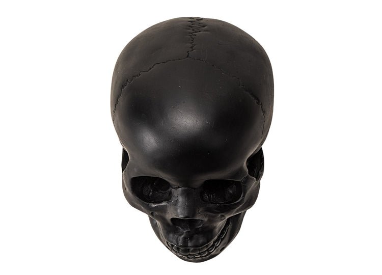 Black Skull with Moveable Jaw - JP's Horror