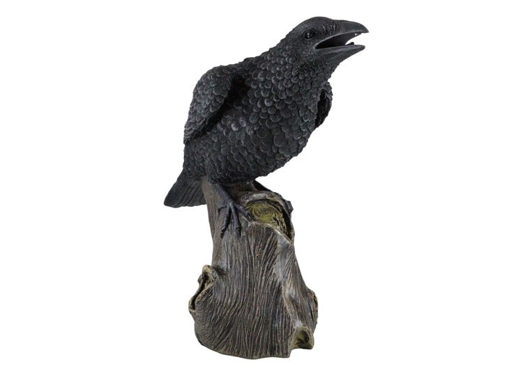 Large Raven - JP's Horror