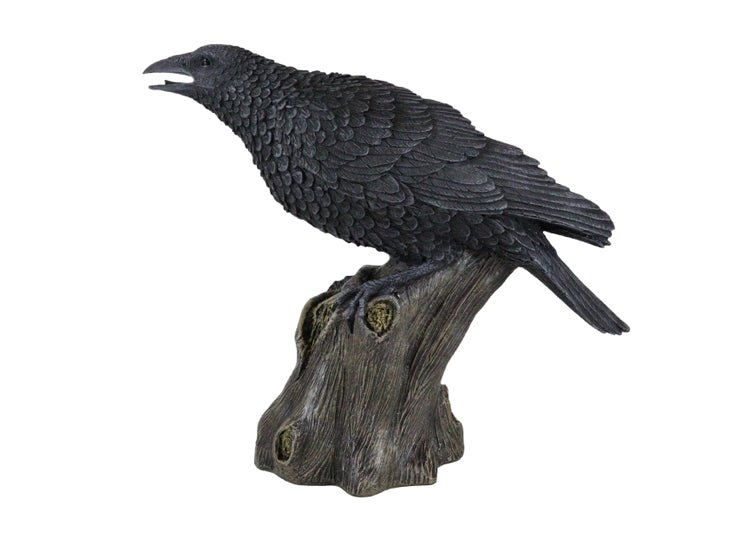 Large Raven - JP's Horror