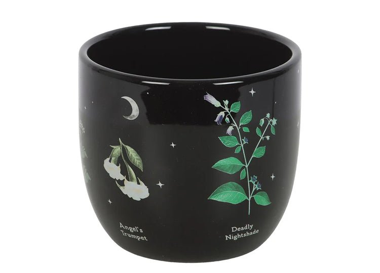 Poisonous Plants Planter - JP's Horror