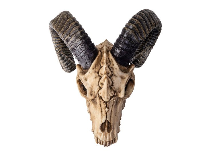 The Beast Skull - JP's Horror