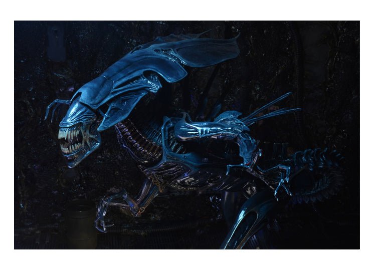 Xenomorph Queen Ultra Deluxe Action Figure - JP's Horror