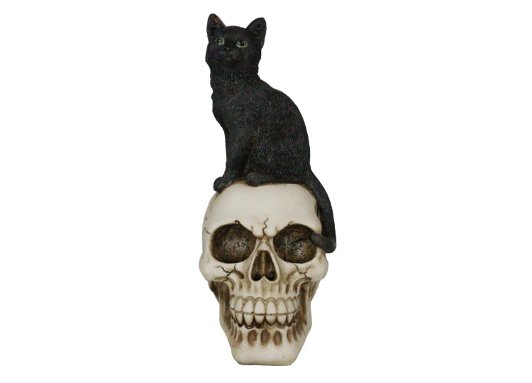 Black Cat on Skull 1 - JPs Horror Collection