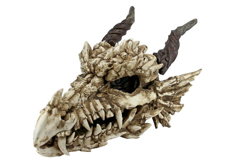 Dragon Skull (Large) 1 - JPs Horror Collection