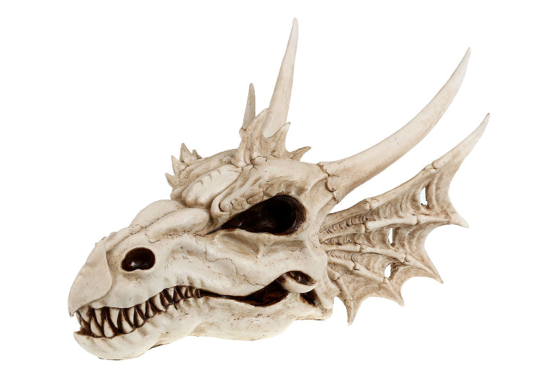Dragon Skull (Medium) 1 - JPs Horror Collection