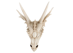 Dragon Skull (Medium) 5 - JPs Horror Collection