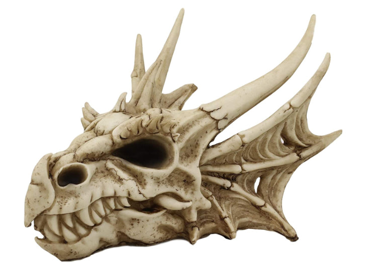 Dragon Skull (Small) 1 - JPs Horror Collection