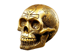 Egyptian Skull  - Gold 2 - JPs Horror Collection