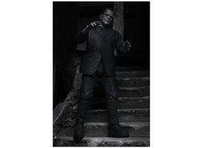 Frankenstein (B&W) 7" Ultimate 6 - JPs Horror Collection