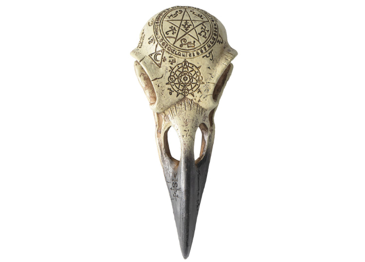 Omega Raven Skull 1 - JPs Horror Collection