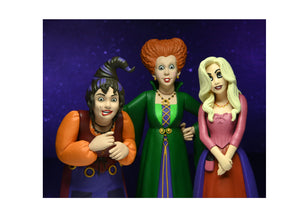 Toony Terrors The Sanderson Sisters - Hocus Pocus 5 - JPs Horror Collection