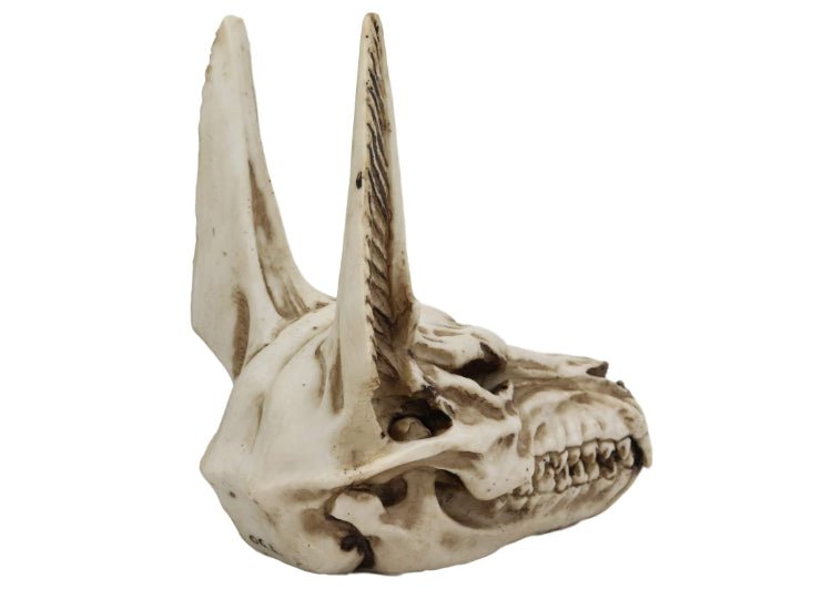 Anubis Skull - JP's Horror
