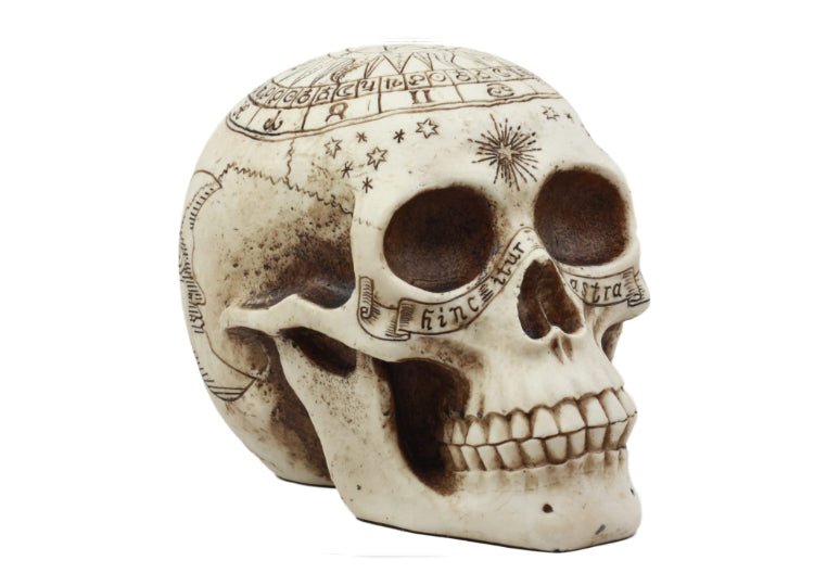 Astrology Skull - JP's Horror