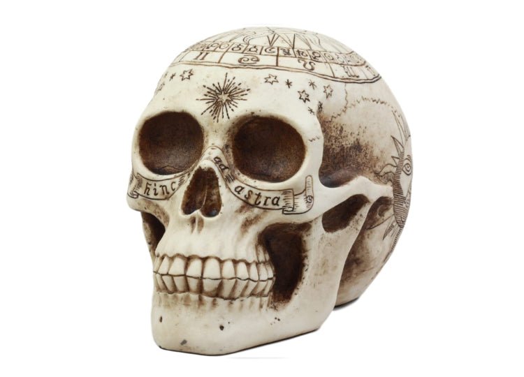 Astrology Skull - JP's Horror