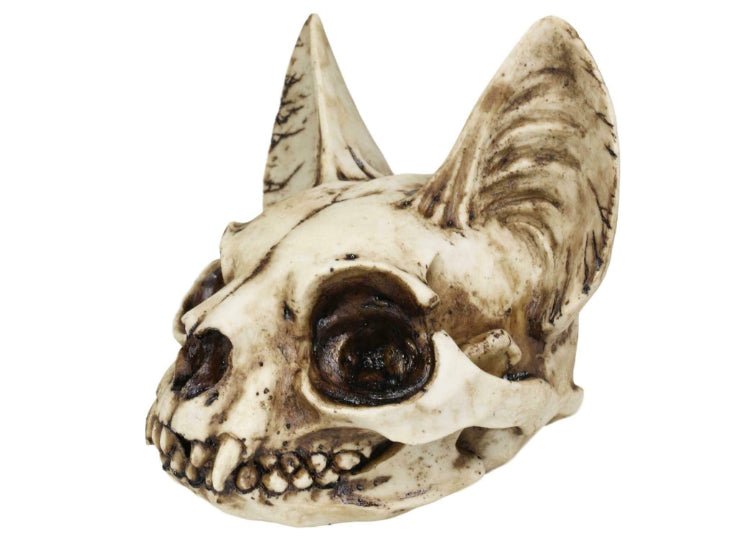 Bastet Skull - JP's Horror