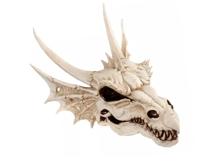 Dragon Skull (Medium) - JP's Horror