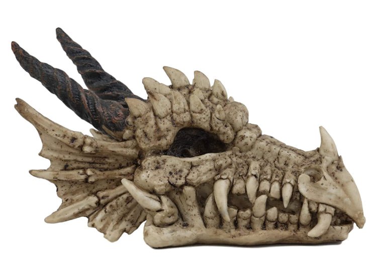 Dragon Skull (Tiny) - JP's Horror