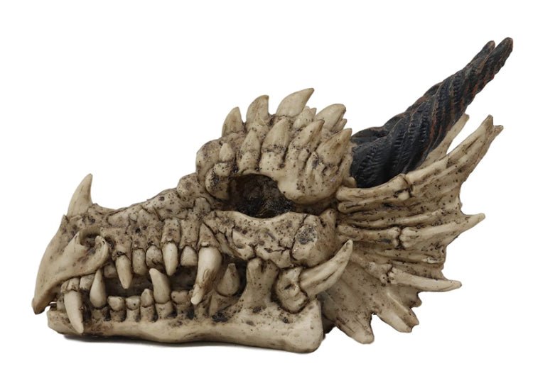 Dragon Skull (Tiny) - JP's Horror