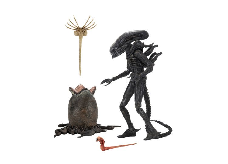 NECA Alien Big Chap Ultimate 7” Figure – 40th Anniversary Xenomorph - JP's Horror