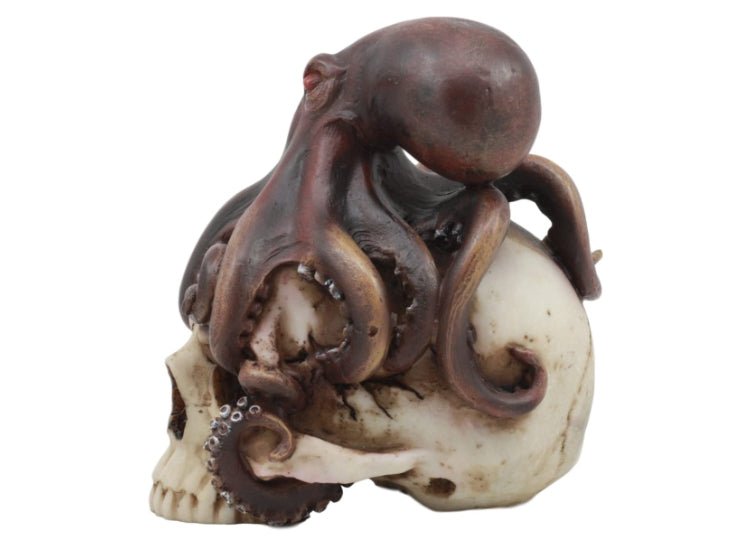 Octopus (Head) Skull - JP's Horror