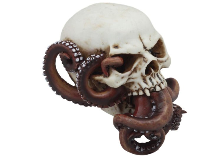 Octopus (Mouth) Skull - JP's Horror