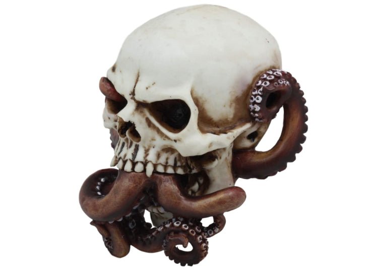 Octopus (Mouth) Skull - JP's Horror