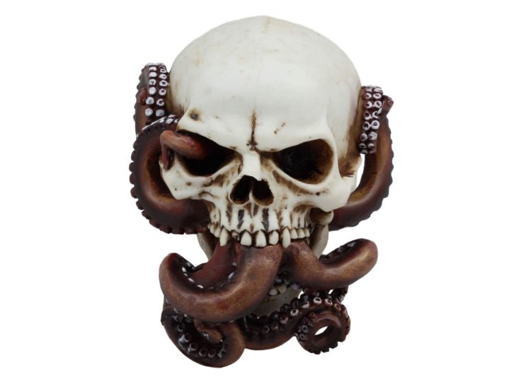 Octopus (Mouth) Skull - JP's Horror