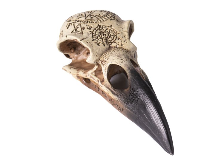 Omega Raven Skull - JP's Horror