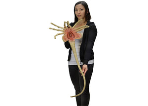 Alien – Facehugger Life-Size Foam Prop Replica 2 - JPs HORROR COLLECTION