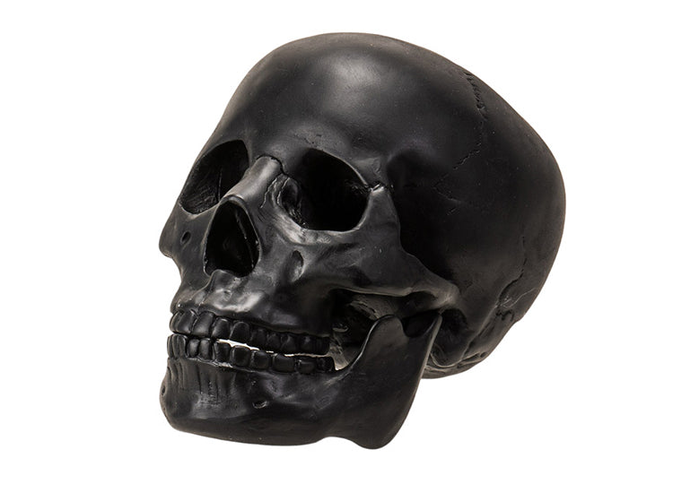 Black Skull with Moveable Jaw 2 - JP's Horror Collection