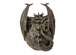 Draco Dragon Skull