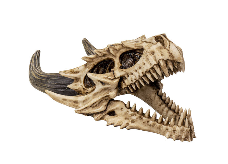 Dragon Wall Mount Skull 4 - JPs Horror Collection