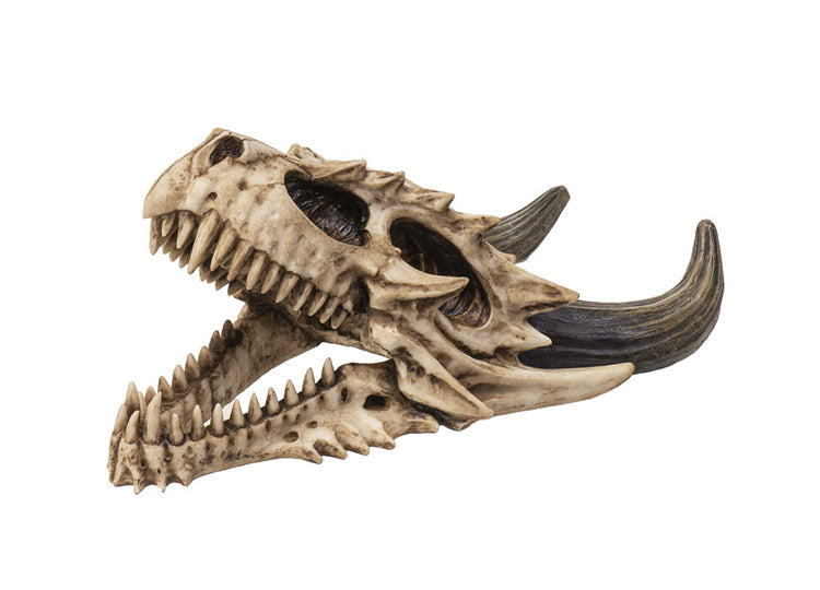 Dragon Wall Mount Skull 5 - JPs Horror Collection