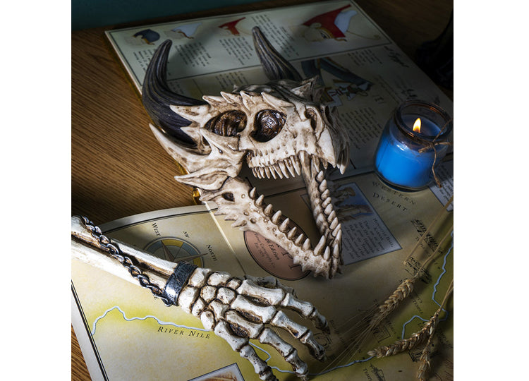Dragon Wall Mount Skull 6 - JPs Horror Collection