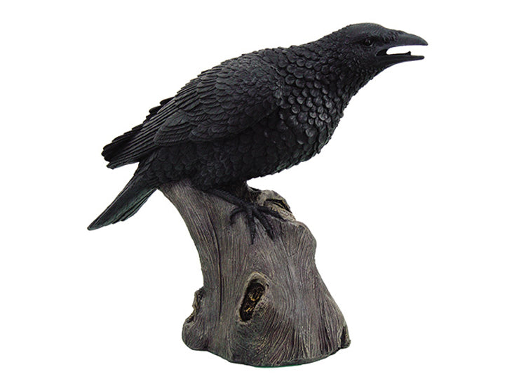 Large Raven