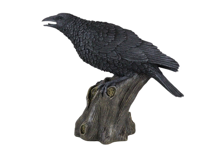 Large Raven