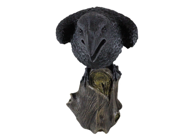 Large Raven