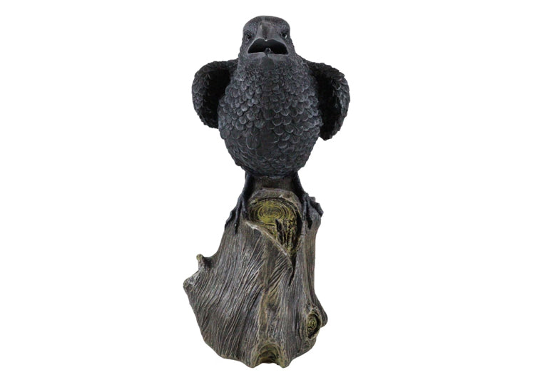 Large Raven
