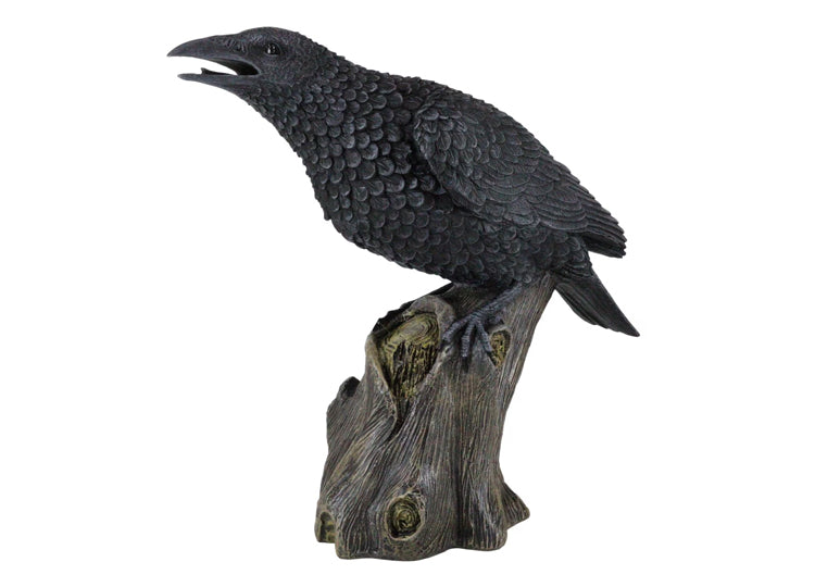 Large Raven
