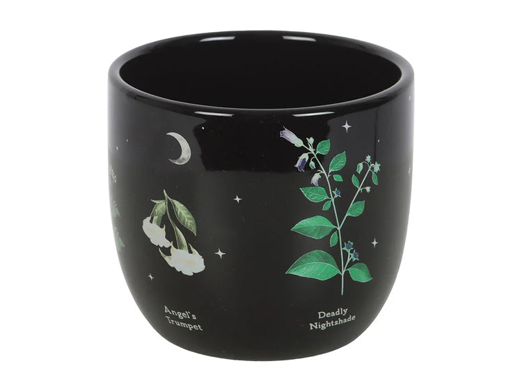 Poisonous Plants Planter