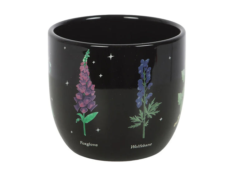 Poisonous Plants Planter