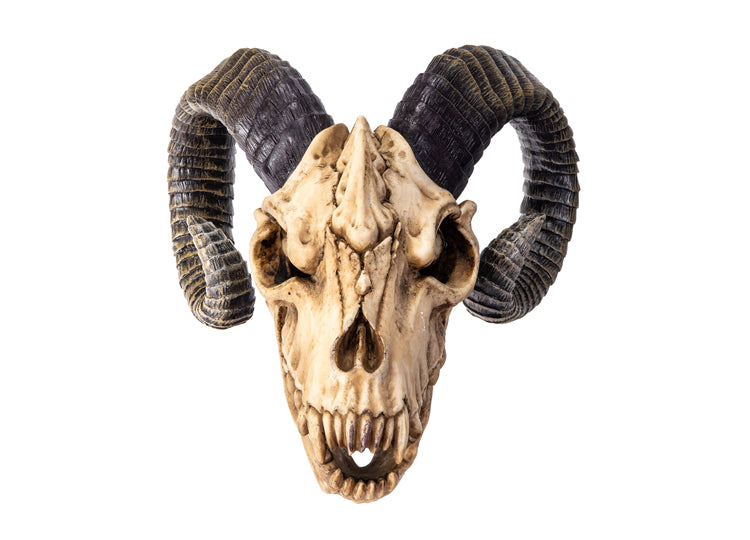 The Beast Skull 5 - JPs Horror Collection