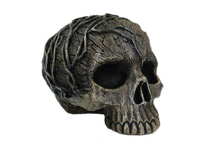 Tree Spirit Skull