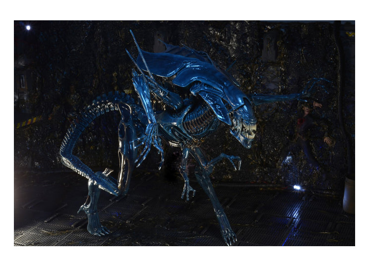 Xenomorph Queen Ultra Deluxe Action Figure 9 - JPs Horror Collection