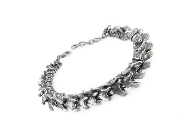Alchemy England Vertebrae Bracelet Gothic Spine Pewter Bracelet 1 - JPs Horror Collection